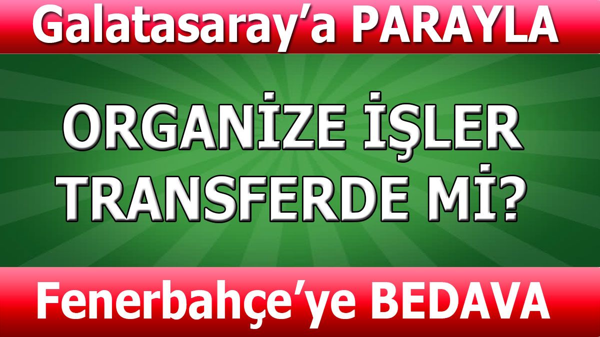 Organize işler